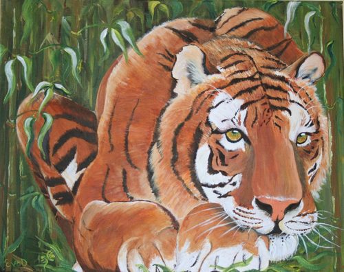Acrylic, Tiger.